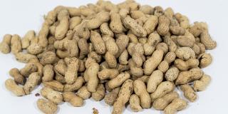 Groundnuts