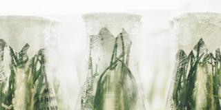 Sealed, glass measuring bottles containing herbs