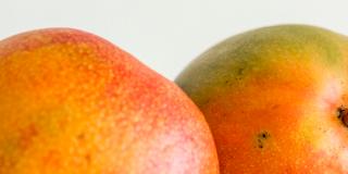 Two fresh mangoes against a white background