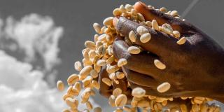 Two hands holding coffee beans with the sky in the background