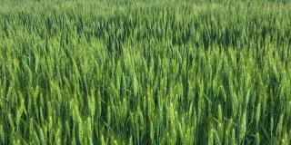 Photo by ＭΛＴΞ on Unsplash