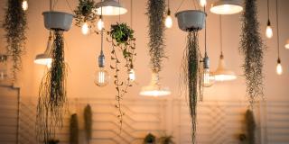 Decorative lighting23