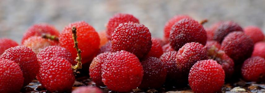 Berries