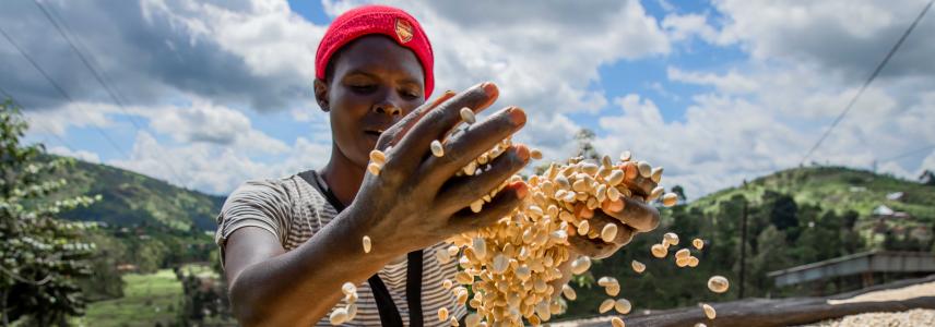 Young farmer by Abakundakawa Cooperative