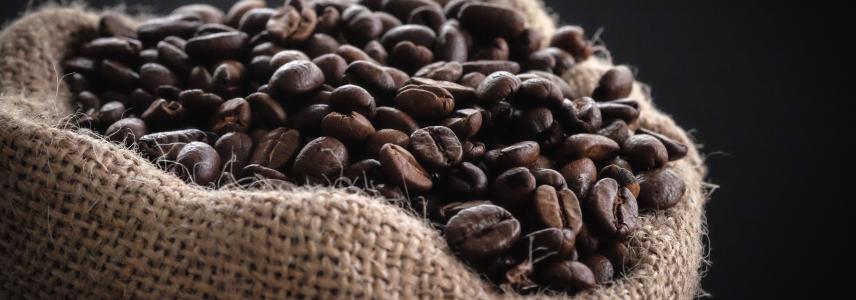Coffee- by Tina Guina