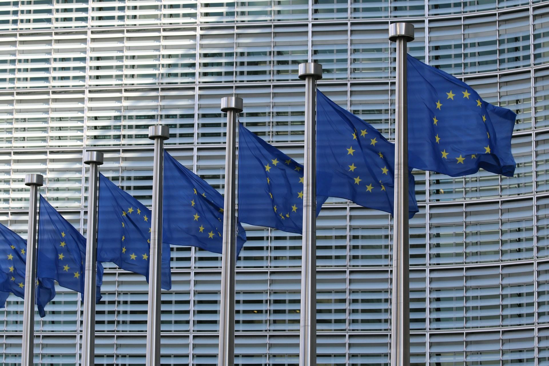 CBI New EU rules reshape the cocoa industry